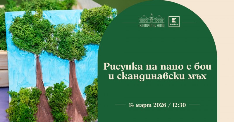 Работилница за изработка на рисунка от пано с бои и скандинавски мъх