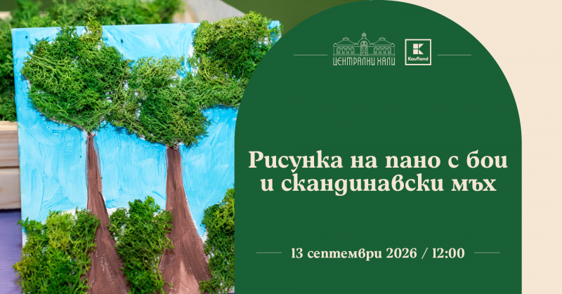 Работилница за изработка на рисунка на пано с бои и скандинавски мъх